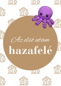 Az első utam hazafelé