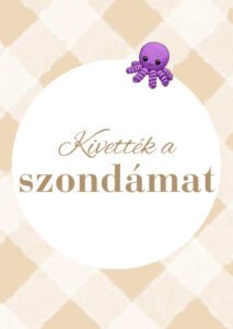 Kivették a szondámat